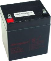 Baterie (akumulátor) ALARMGUARD CJ12-4.5, 12V, 4,5Ah